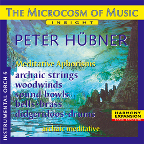 Peter Hübner, Meditative Aphorisms Instrumental - Orchestra No. 5